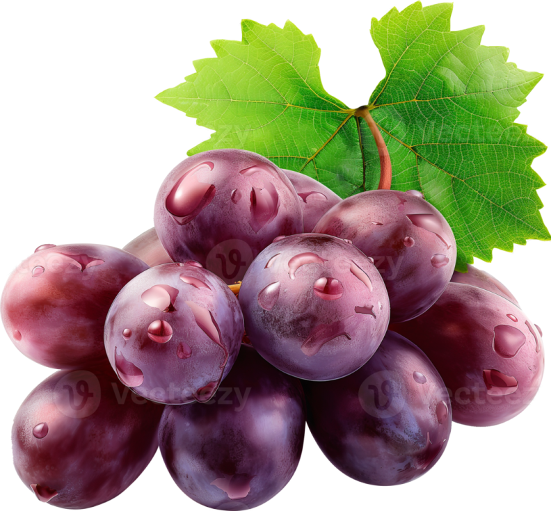 a bunch of purple grapes with green leaves
