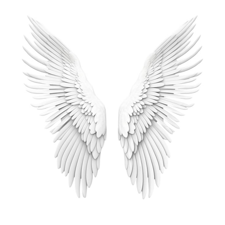 two white wings on a white background