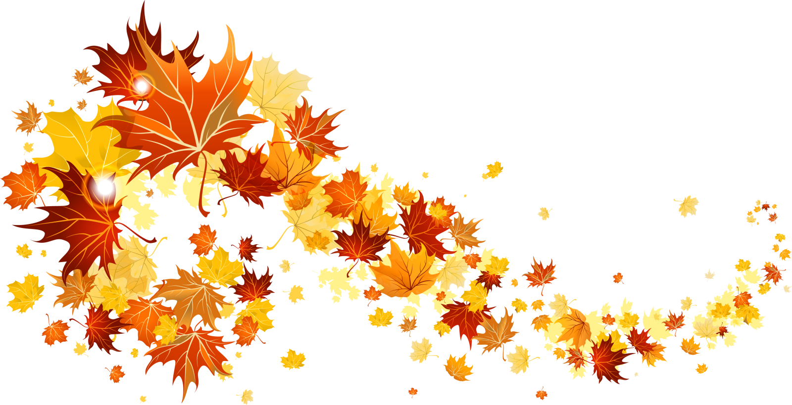 an image of a bunch of autumn leaves