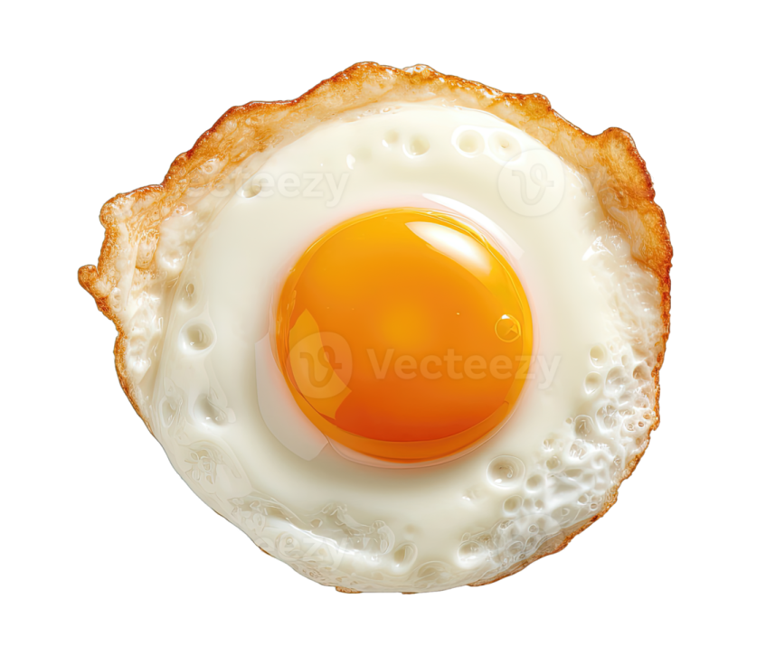 a fried egg on a piece of toasted bread