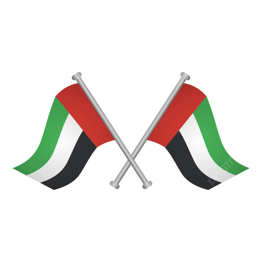 two crossed flags with the colors of the united and palestine
