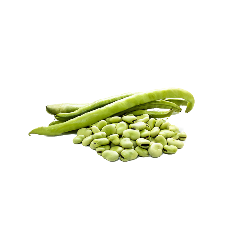 a pile of green beans on a white background