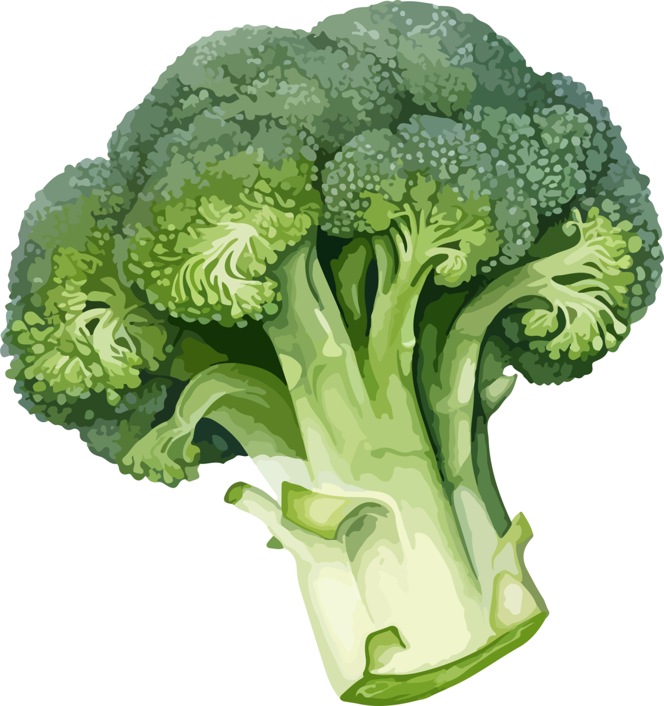 a piece of broccote
