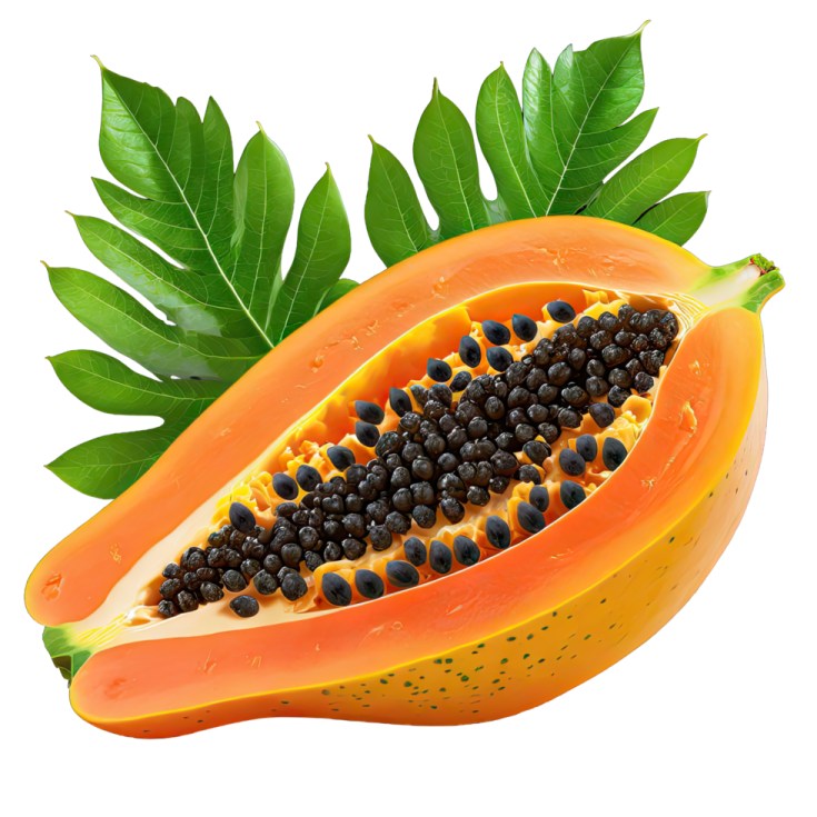 a papa with black seeds and green leaves