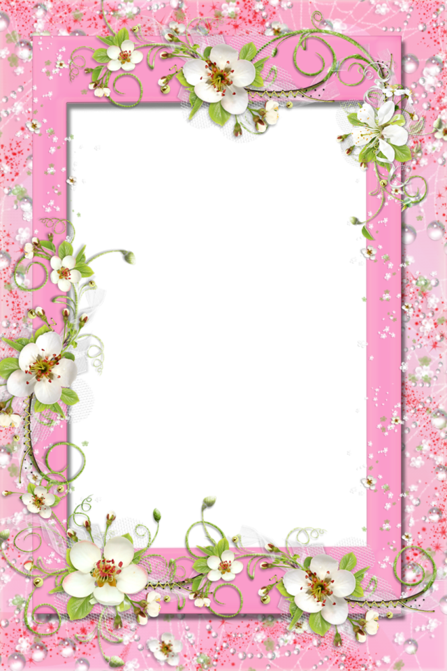 a pink frame with white flowers and green leaves