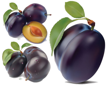 a group of plums with green leaves