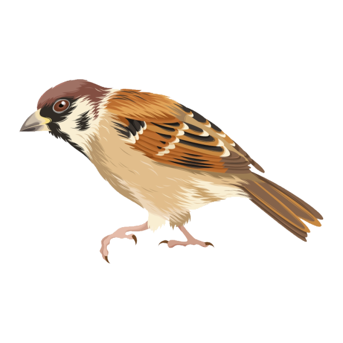 a bird sitting on top of a white surface