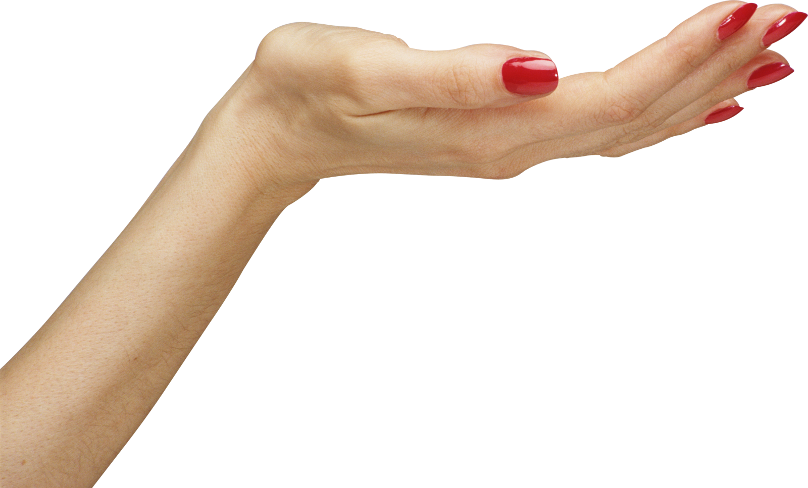 a woman's hand with red nail polish
