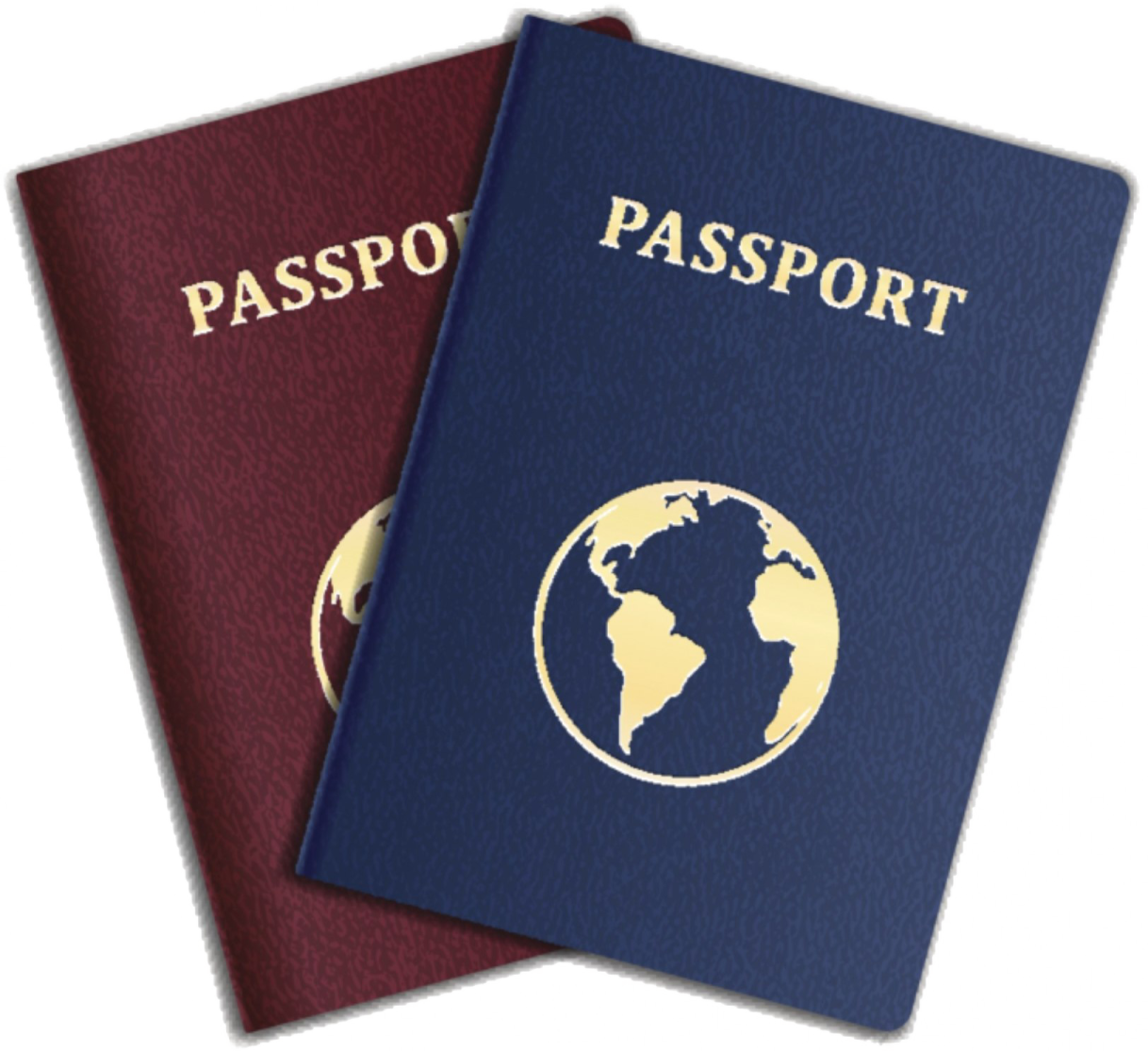 two passports with the word passport on them