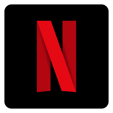 the netflix logo on a white background
