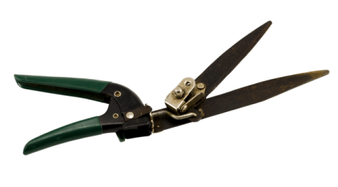 a pair of pliers on a white background