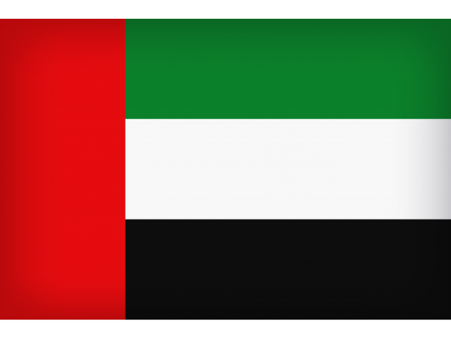 the uae flag