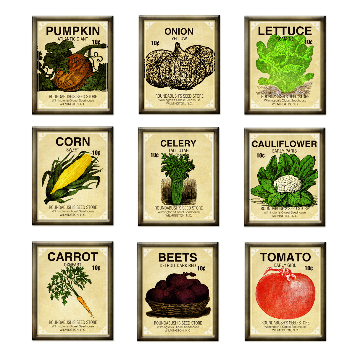 a set of nine framed pictures with different vegetables