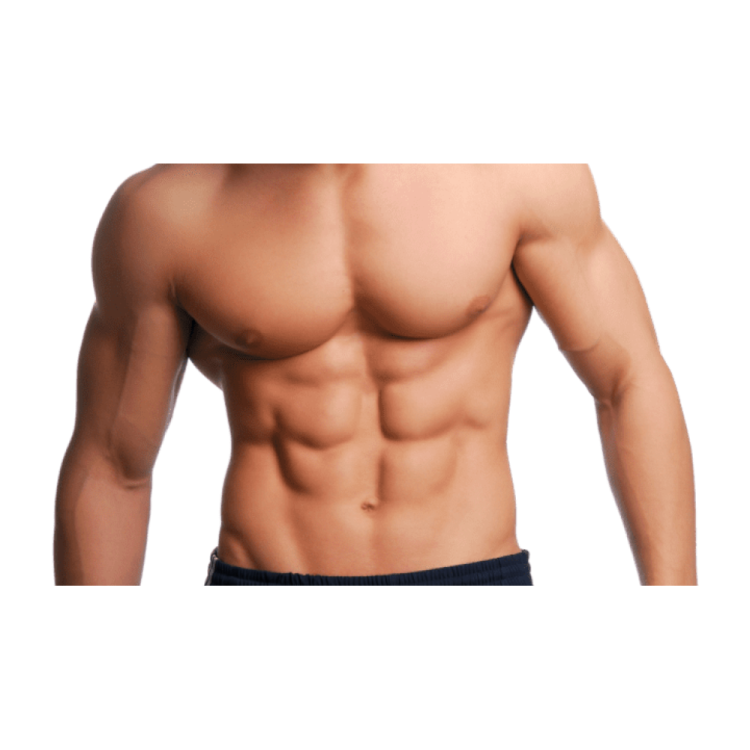 a male torso with no shirt