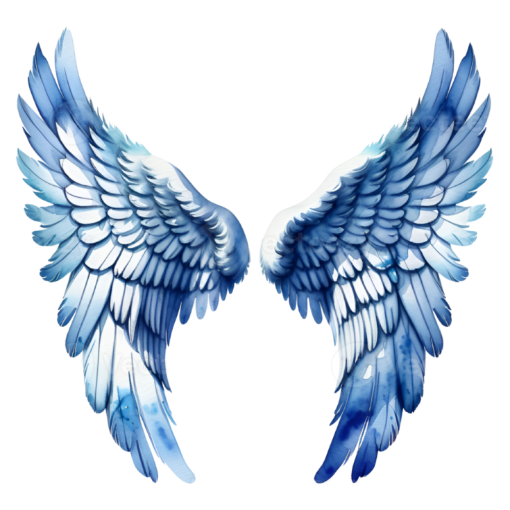 a pair of wings on a white background