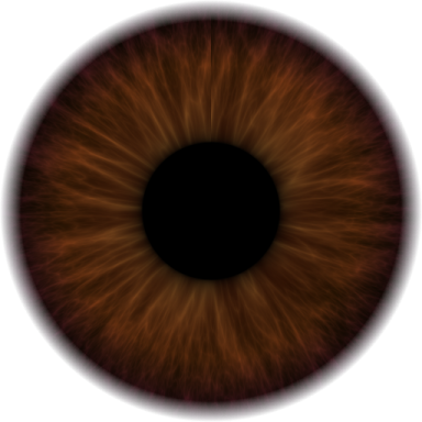 an image of a brown eye