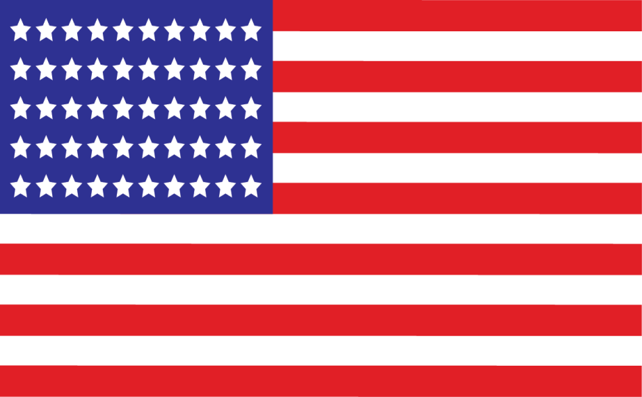 the american flag