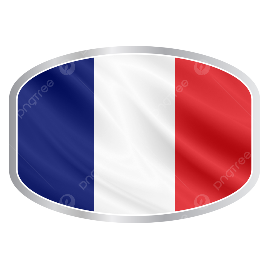 french flag sticker