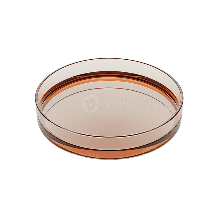 a copper plate on a white background