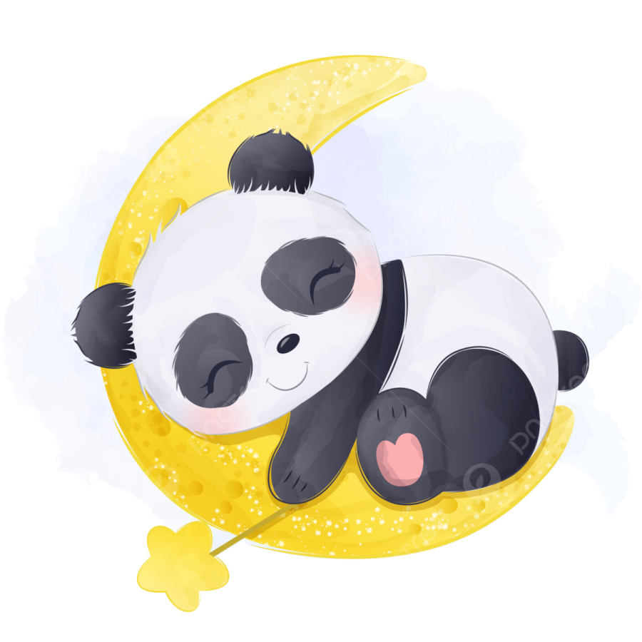 a panda sleeping on the moon