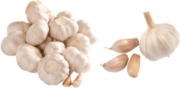a pile of garlic on a white background