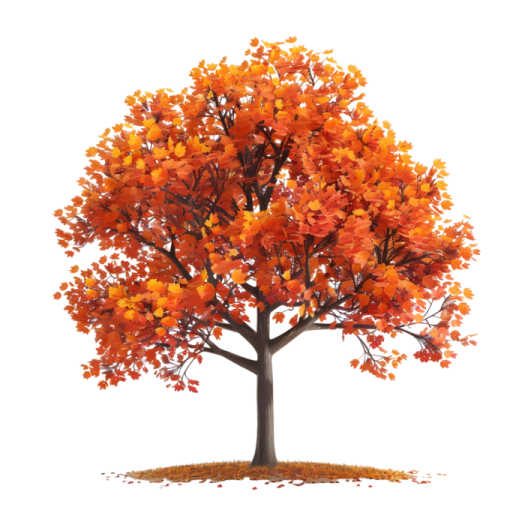 a tree with orange leaves on it