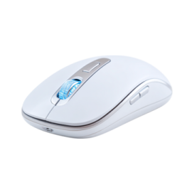 a computer mouse on a white background