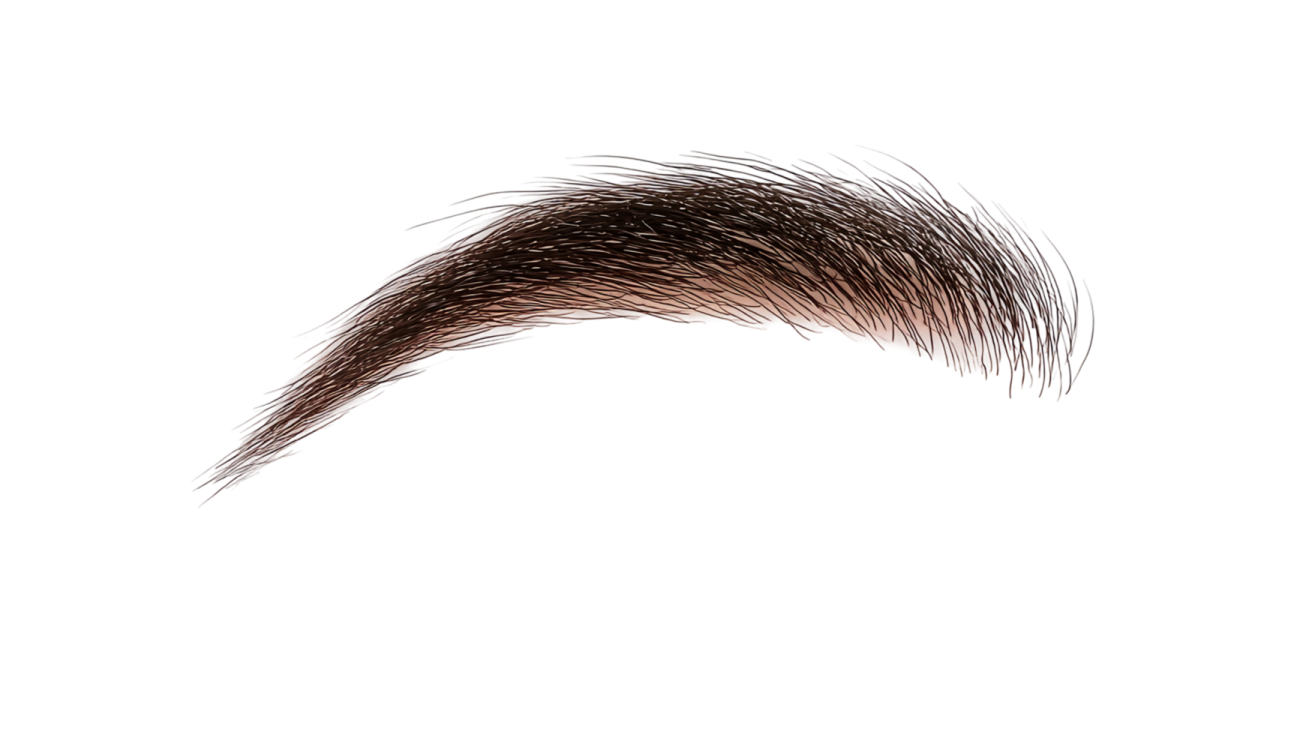 a close up view of a brown eyebrow