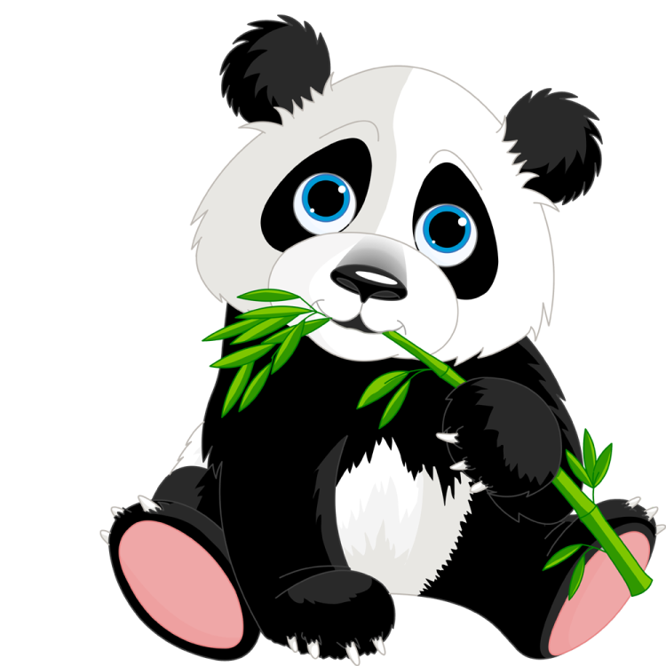 panda eating bamboo clipart