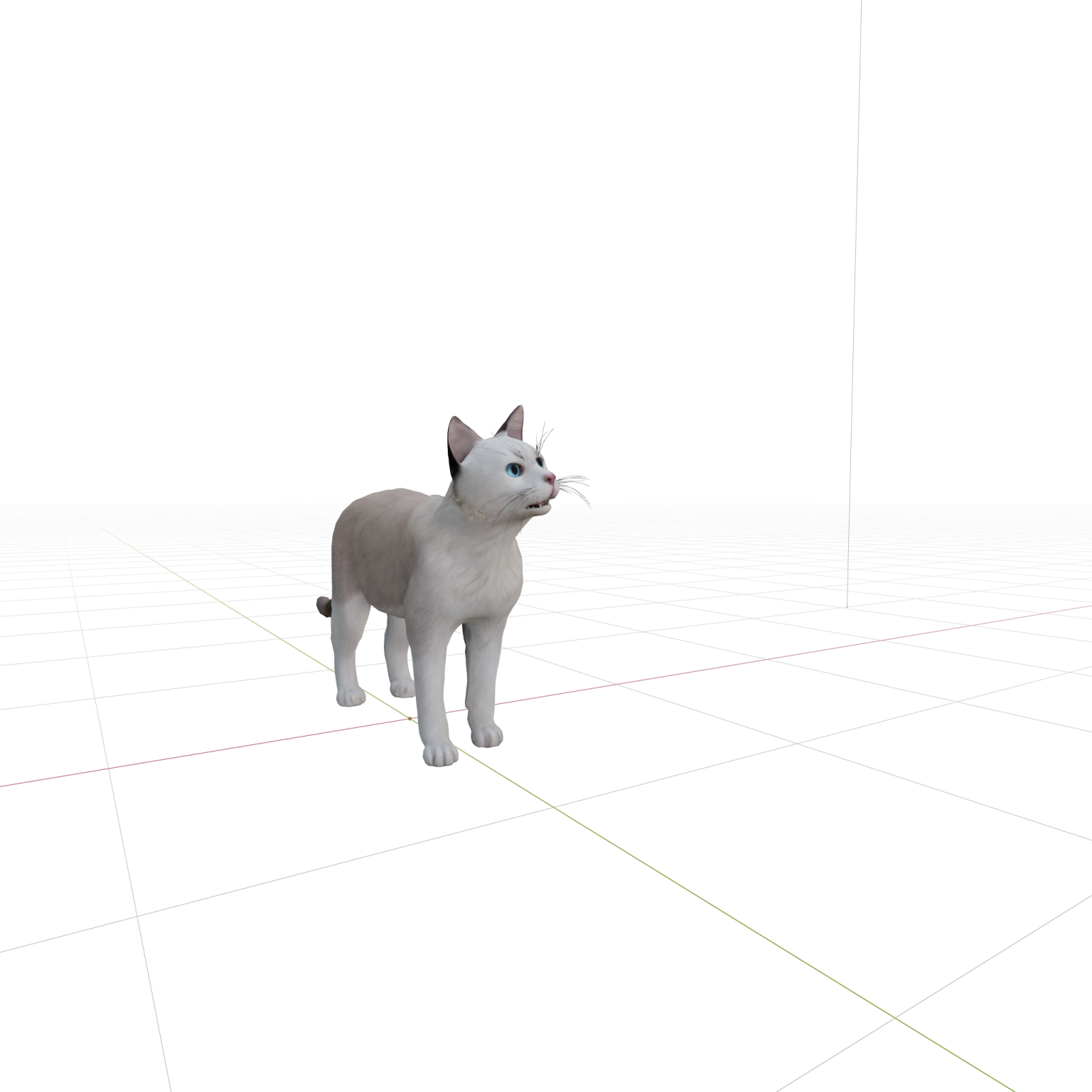 a cat is standing on a white surface