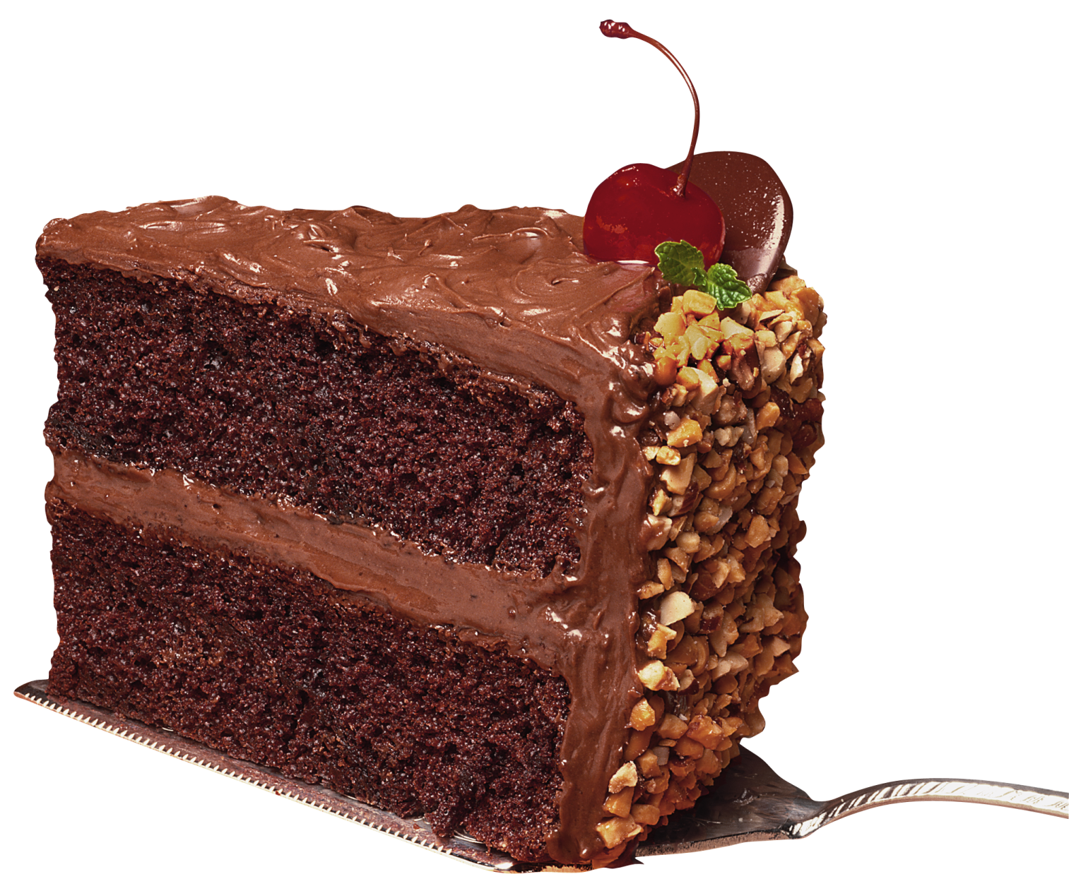 a piece of chocolate cake
