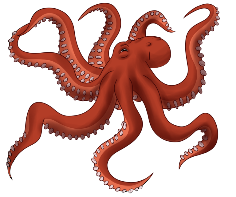 An octopus clipart