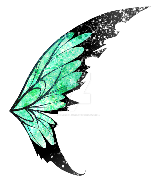 a green and black butterfly wing