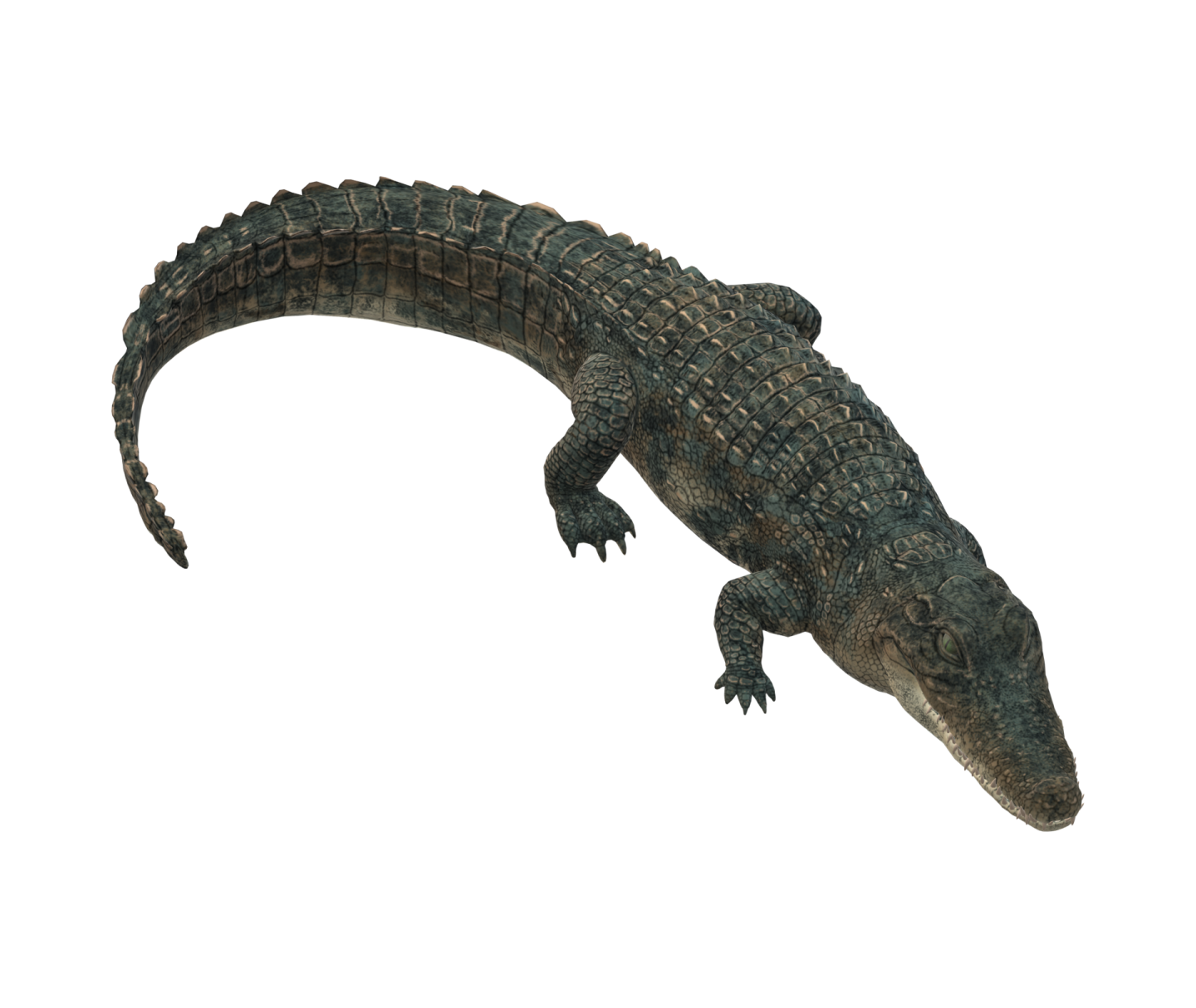 3d rendering of a crocodile isolated on white background
