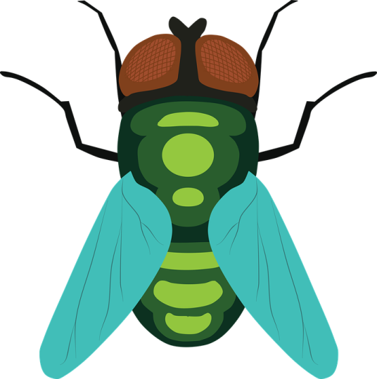 a green and brown fly insect