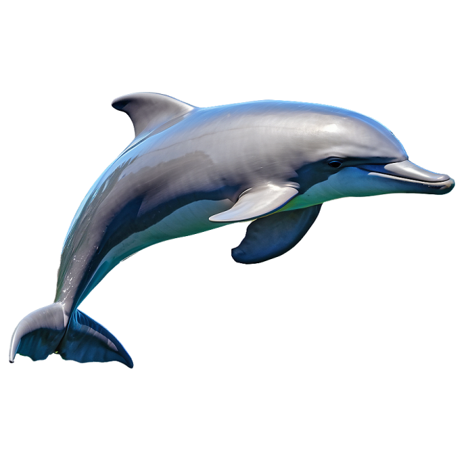 a dolphin jumping in the air on a white background
