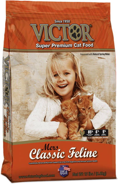 a little girl holding a cat in her arms