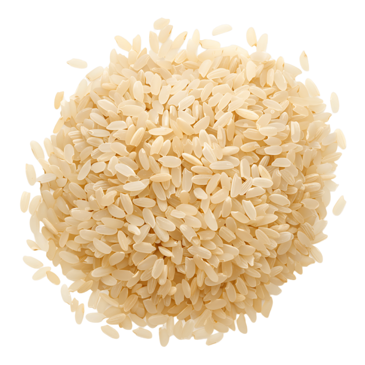 a pile of rice on a white background
