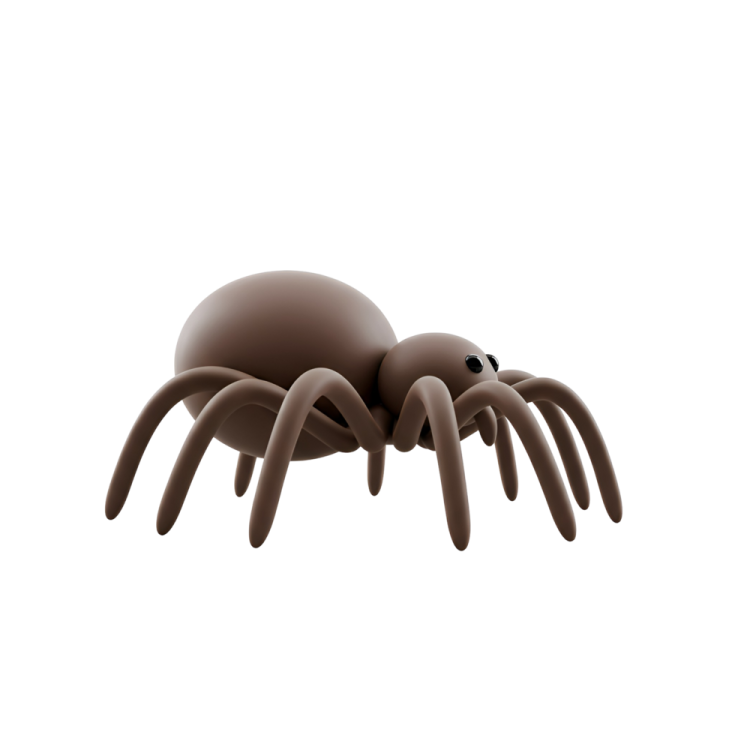 a brown spider on a white background