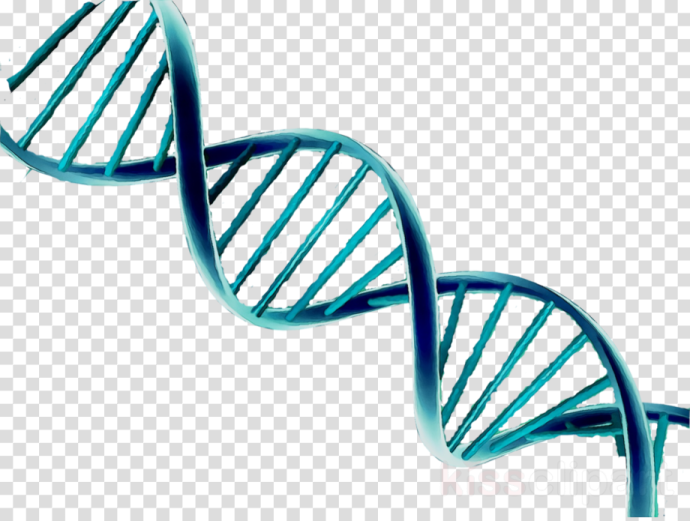 a blue dna molecule on a white background