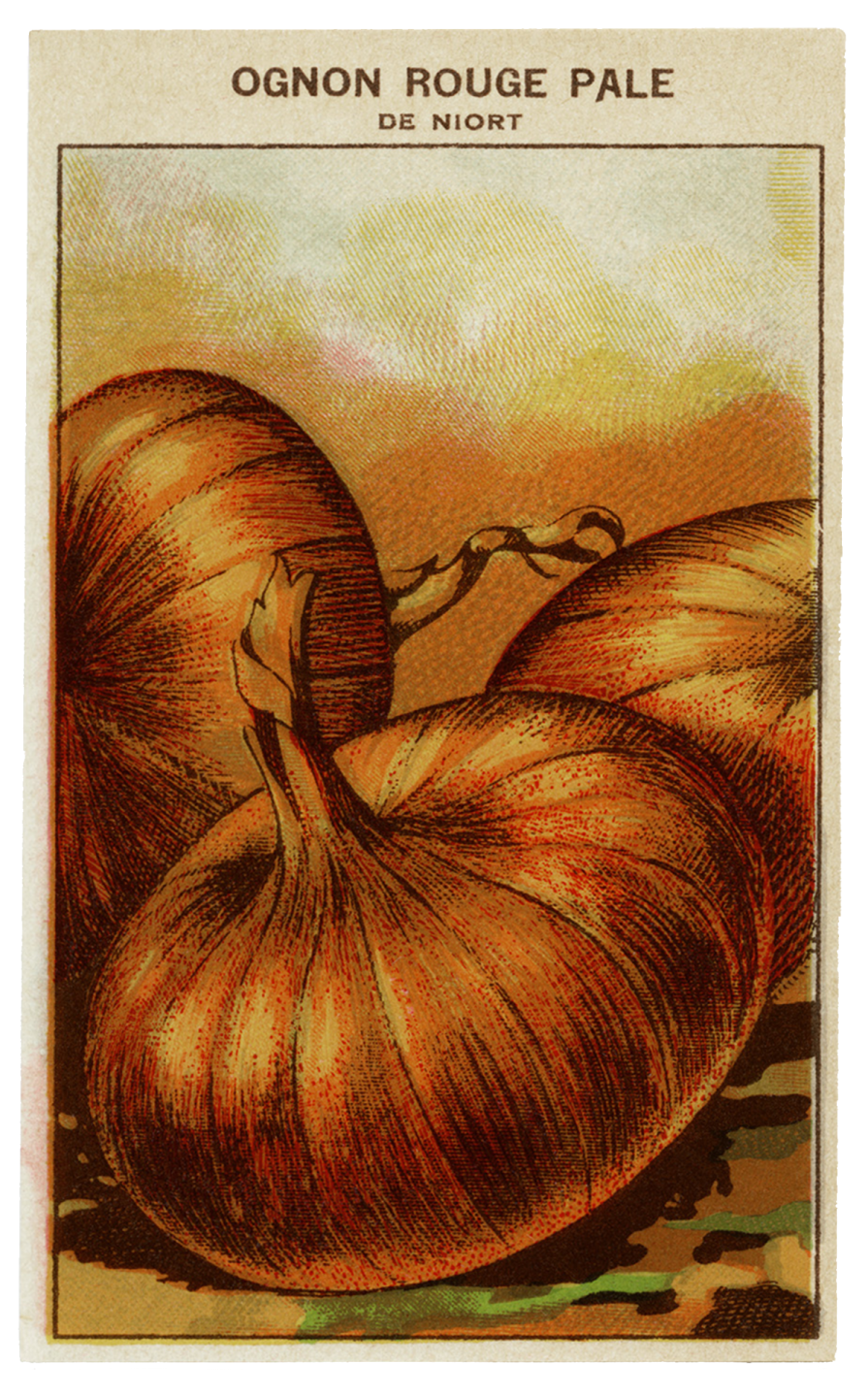 a card with an orange pumpkin on it