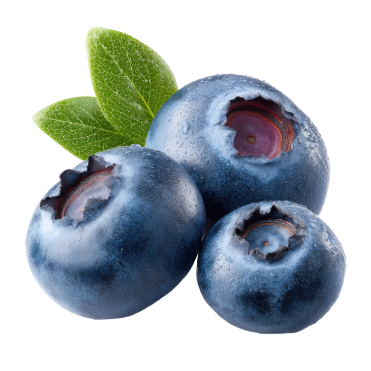 three blueberries with leaves on a white background