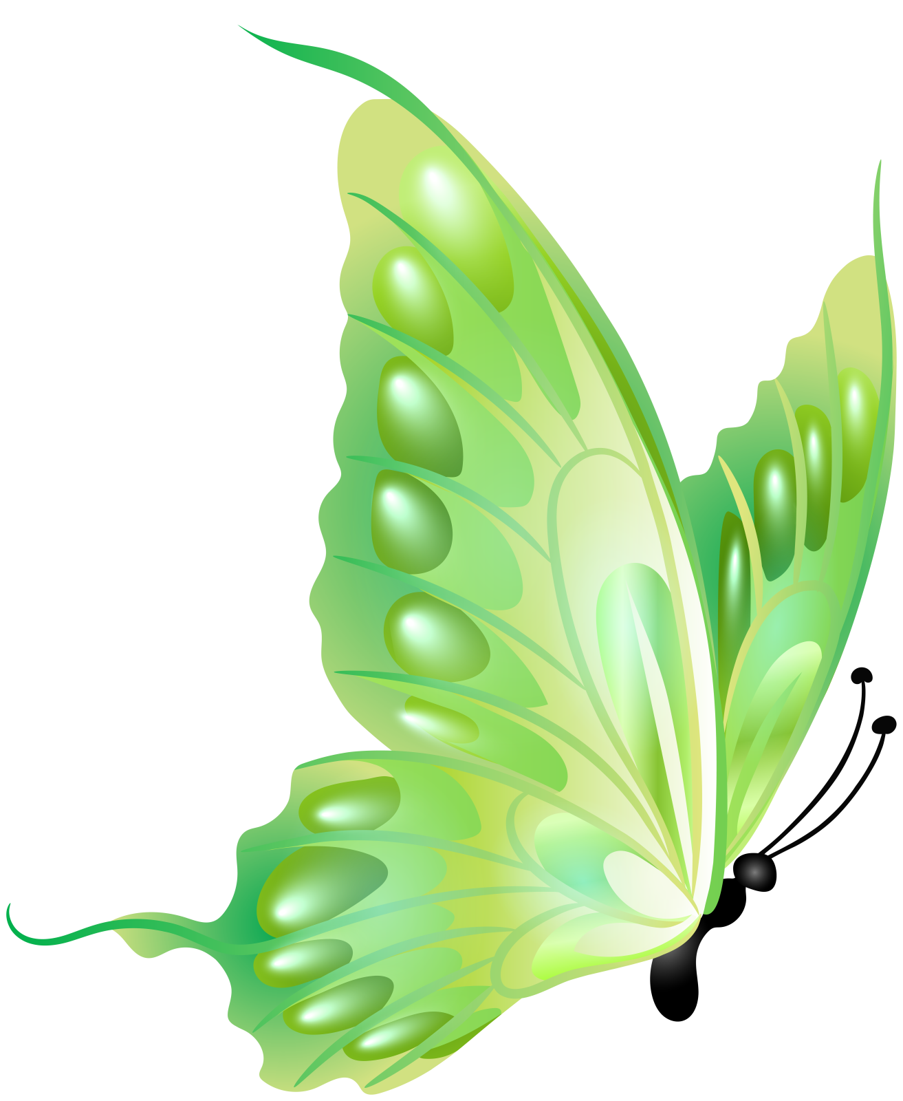 a green butterfly on a white background