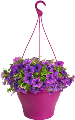 a pink hanging planter with purple flowers