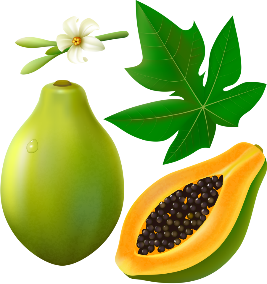 a green fruit with leaves and a flower