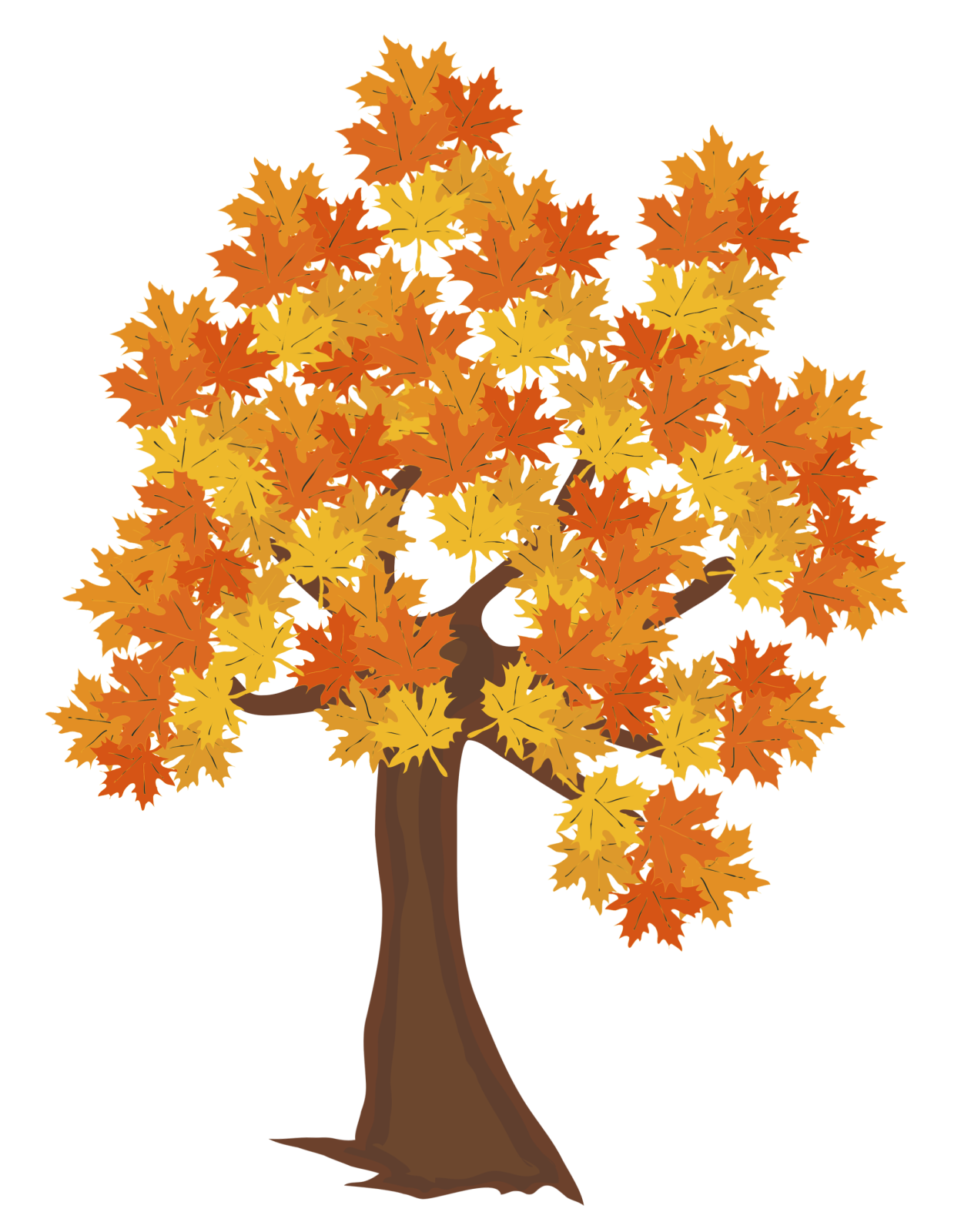a tree with autumn leaves on it