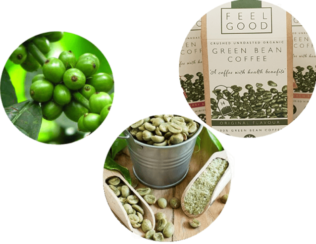 four different types of green beans