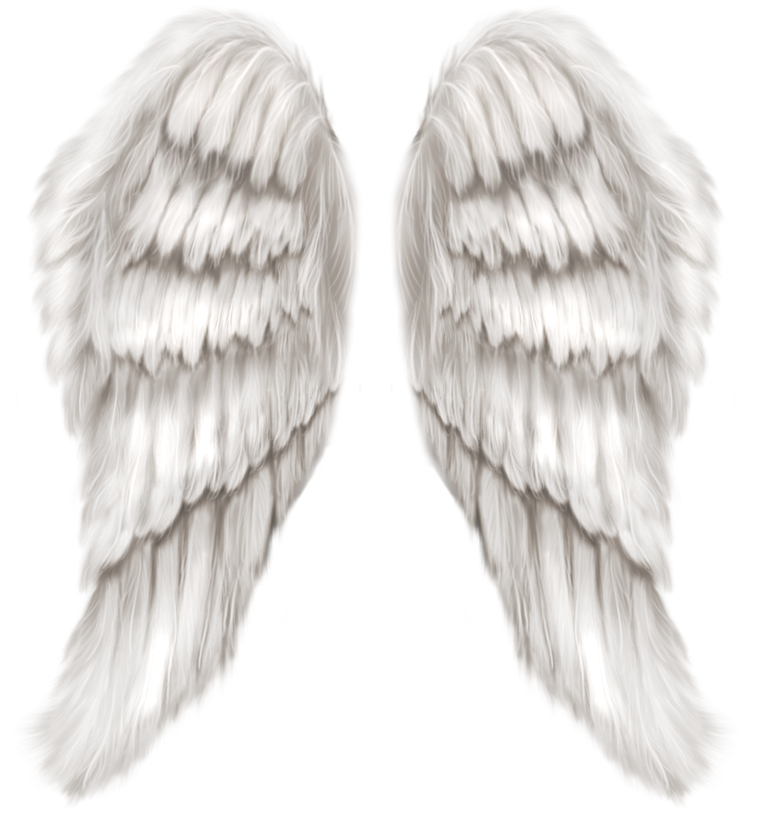 two white wings on a white background