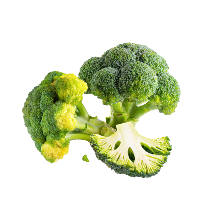 two pieces of broccote