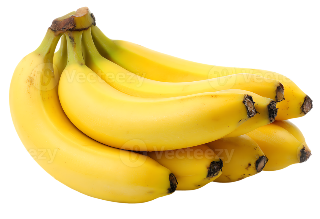 a bunch of bananas on a white background